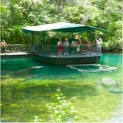 Homosassa Springs Underwater Viewing Platform